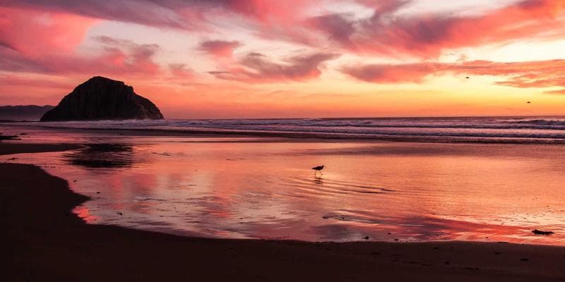 Best AI Image Editors in 2026