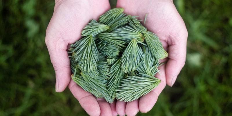 2026年最佳AI简历生成器